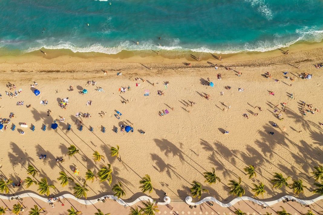 beach, some people sunbathe, some people swim in the ocean